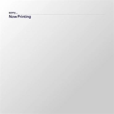 ベア シルクナプキン 2枚セット(2枚セット)